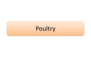 All About Poultry: Nutrition, Quality, and Preparation