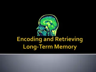 Memory Techniques for Effective Learning