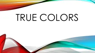 True Colors Personality Types and Group Dynamics