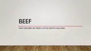 Journey of Beef from Farm to Fork