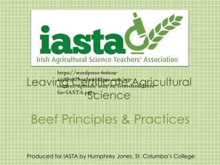 Overview of Beef Farming in Ireland