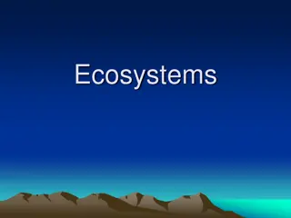 Ecosystems: The Interplay of Living and Nonliving Elements