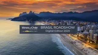 Chilean Wine Roadshow 2020: Digital Event Connecting Brazilian Market