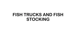 Challenges and Solutions in Fish Truck Fleet Logistics