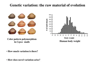 Genetic Variation and Its Role in Evolution