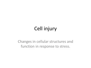 Cell Injury and Degeneration in Response to Various Stressors