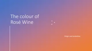 The Colour of Rosé Wine: Origin, Evolution, and Influencing Factors