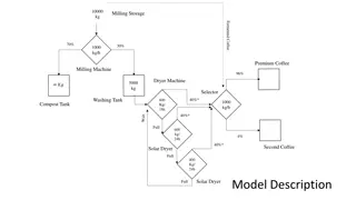 Coffee Processing Workflow and Quality Control