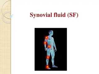 Synovial Fluid and Its Role in Joint Health