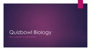 Cellular Structures in Quizbowl Biology