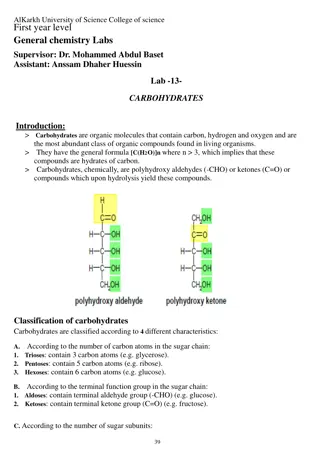 Understanding Carbohydrates: A Comprehensive Overview