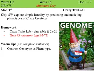 Genotype and Phenotype in Hereditary Traits