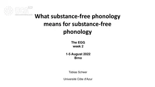 Substance-Free Phonology and Its Implications