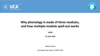 The Three Modules of Phonology and Multiple-Module Spell-Out Systems