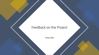 Comprehensive Feedback on Crazy Labs Project Presentation