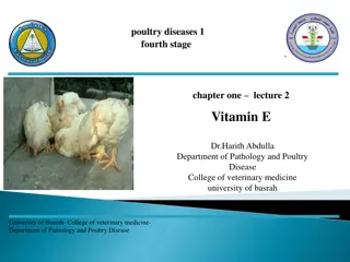 Understanding Vitamin E Deficiency in Poultry: Symptoms and Implications