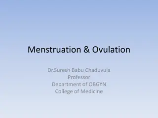 Menstruation and Ovulation Cycle in Women