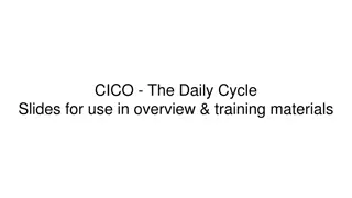 The CICO Daily Cycle in School Interventions