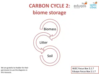 Carbon Storage in Biomes and Ecosystems