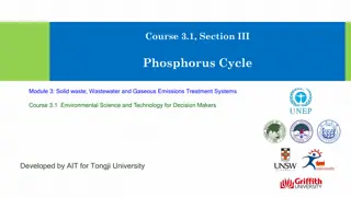 Understanding the Phosphorus Cycle in Environmental Science