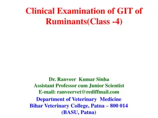 Clinical Examination of Gastrointestinal Tract in Ruminants - Summary and Observations