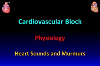 Cardiac Auscultation: Heart Sounds and Murmurs