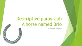 Memories of a Horse Named Brio