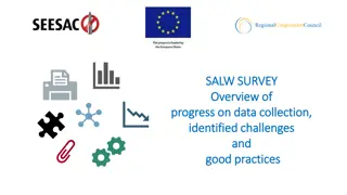 Progress Overview of SALW Survey in Southeast Europe