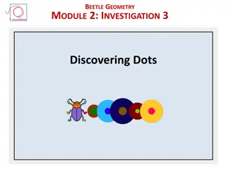 Discovering Dots with Beetle Geometry Module Investigation