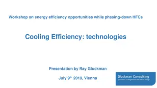 Workshop on Energy Efficiency Opportunities in Phasing Down HFCs: Cooling Efficiency Technologies Presentation