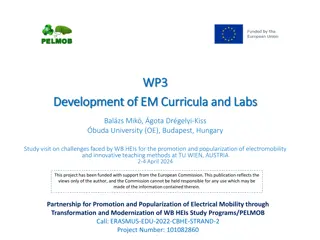 Promotion and Popularization of Electromobility: Developing Curricula and Labs in Higher Education Institutions