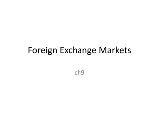 Foreign Exchange Markets and Risks