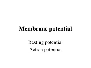 Membrane Potential and Action Potentials in Excitable Cells