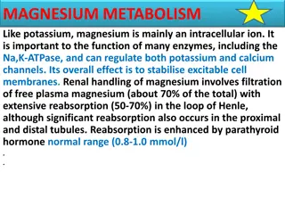 Magnesium Metabolism and Hypomagnesaemia