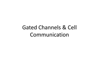 Ion Channels in Cell Communication