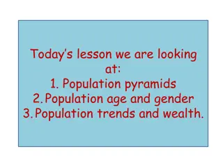 Population Pyramids and Demographic Trends in China