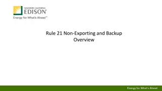 Overview of Rule 21 Non-Exporting and Backup Options