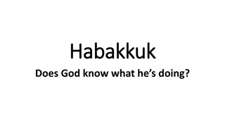 Reflections on Habakkuk: Understanding God's Plan