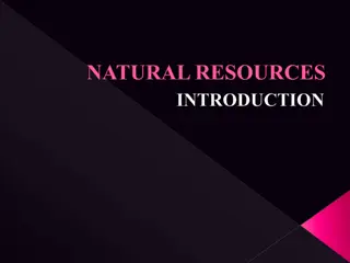 Natural Resources: Types and Conservation