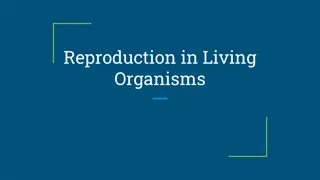 Reproduction in Living Organisms