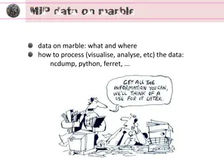 MIP Data on Marble for Visualizing and Analyzing