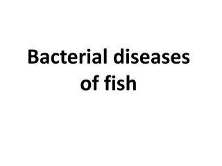 Bacterial Diseases of Fish: Columnaris Disease Overview