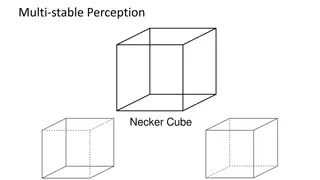 Multi-Stable Perception and Fitting in Computer Vision