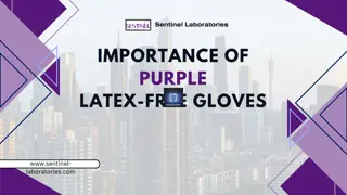 Importance of Purple Latex-Free Gloves