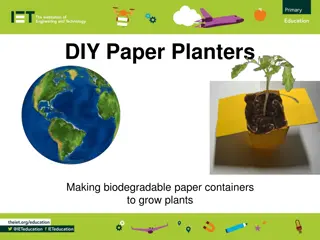 DIY Biodegradable Paper Planters Guide