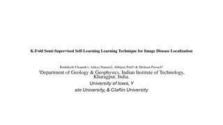 Enhancing Image Disease Localization with K-Fold Semi-Supervised Self-Learning Technique