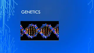 Exploring the Legacy of Gregor Mendel: Pioneer of Genetics