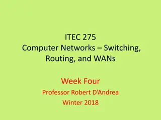 Computer Networks and WANs: Week Four Overview