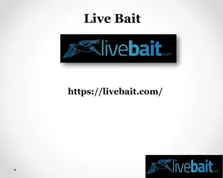 Cast Fishing Nets, livebait.com