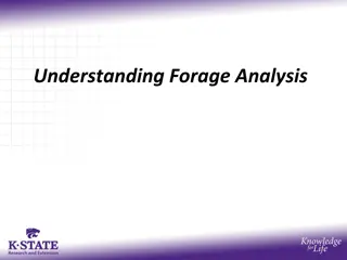 Understanding Forage Analysis Methods for Evaluating Feed Quality